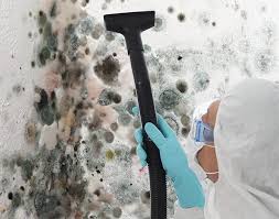 Best Mold Prevention Services  in Maple Bluff, WI